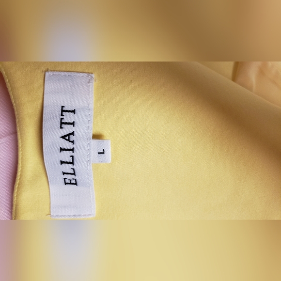 The Elliat Rays Mini Dress - Picture 6 of 7